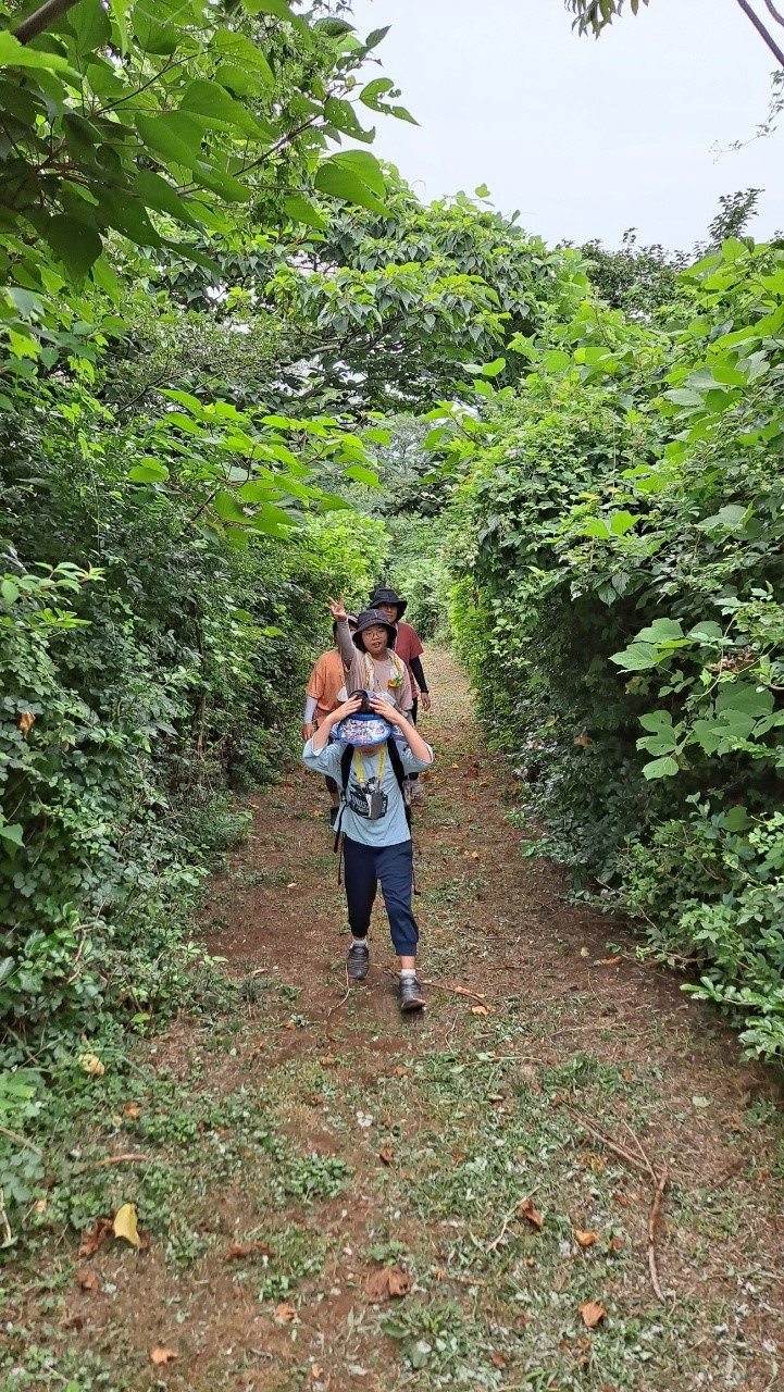 봉개에서 놀아보기 -2탄(안세미오름) 첨부이미지