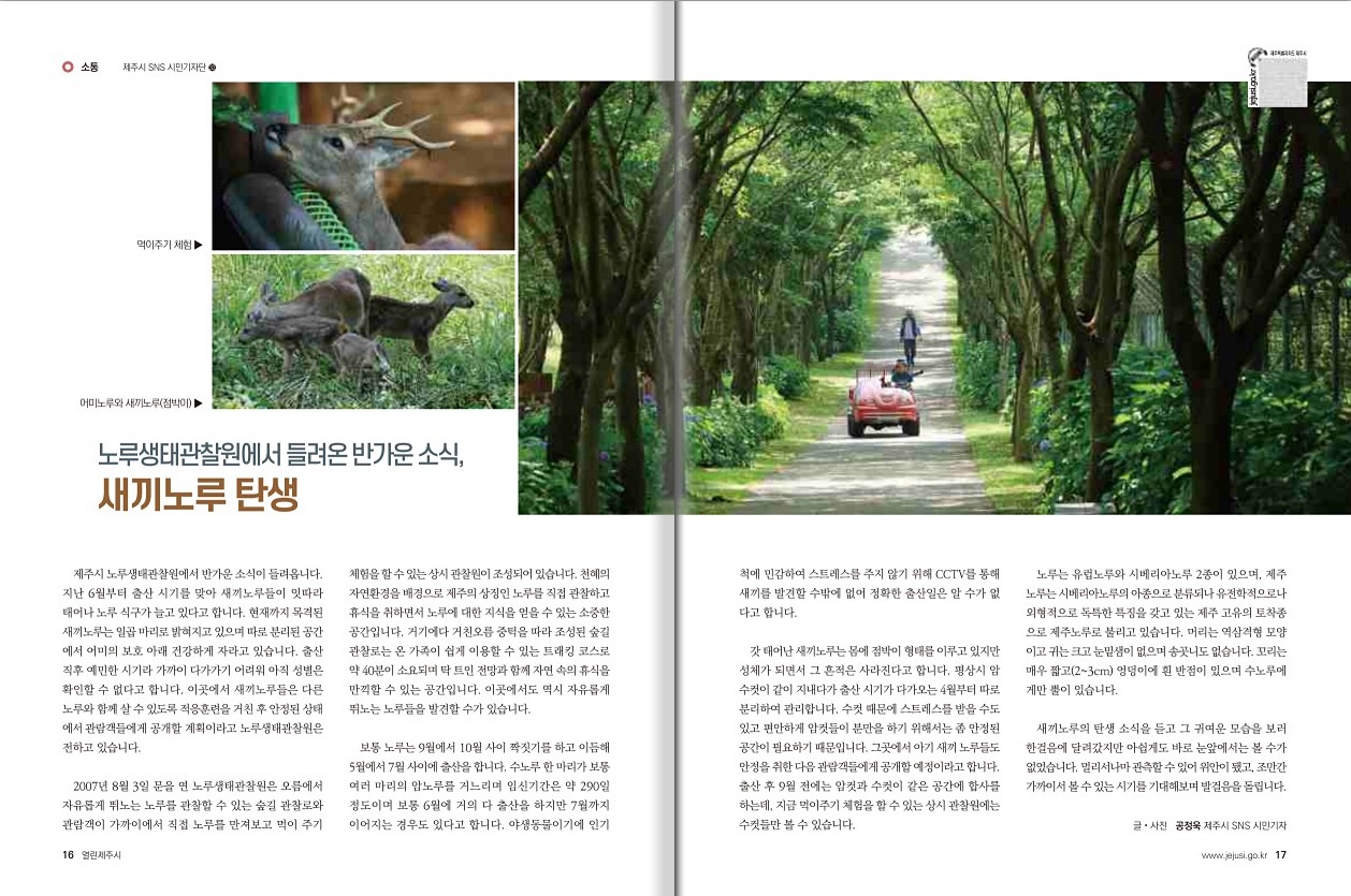 시정소식.jpg