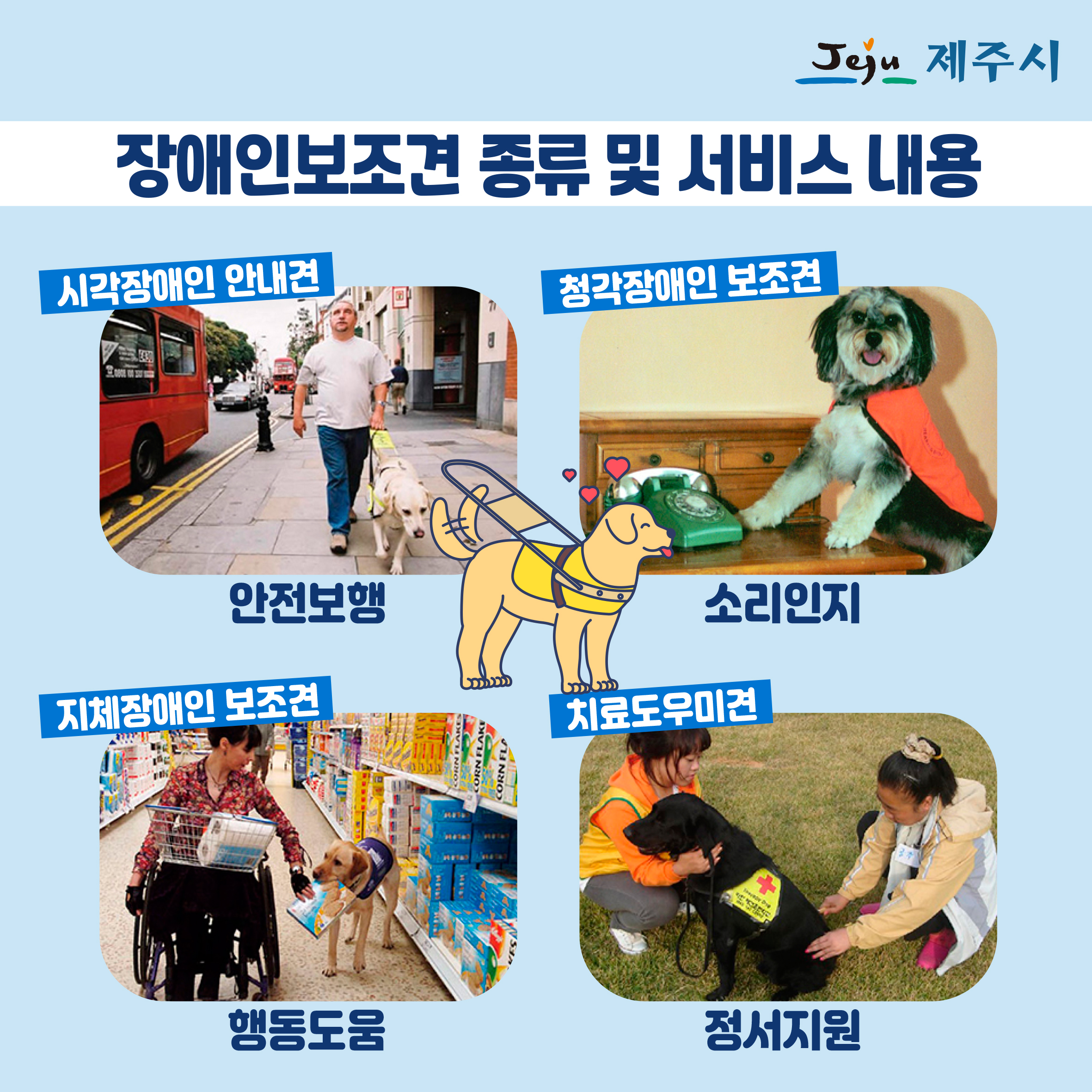 장애인인식개선 카드뉴스(장애인보조견) 첨부이미지