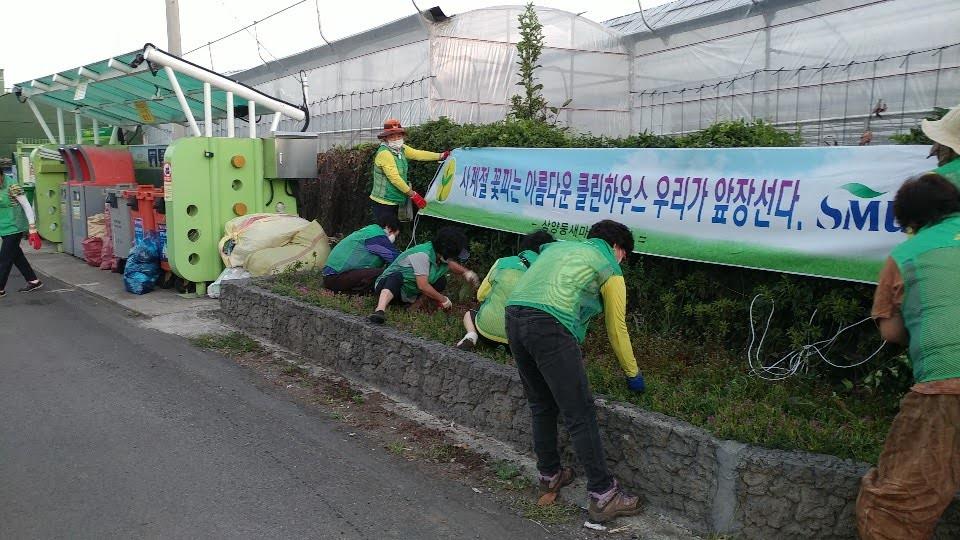 삼양동새마을부녀회, 클린하우스 화단 여름꽃 식재 첨부이미지