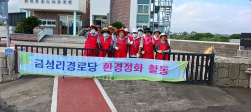 (애월읍)금성리, 어르신 참여 환경정화 활동 효과 톡톡(1).jpeg