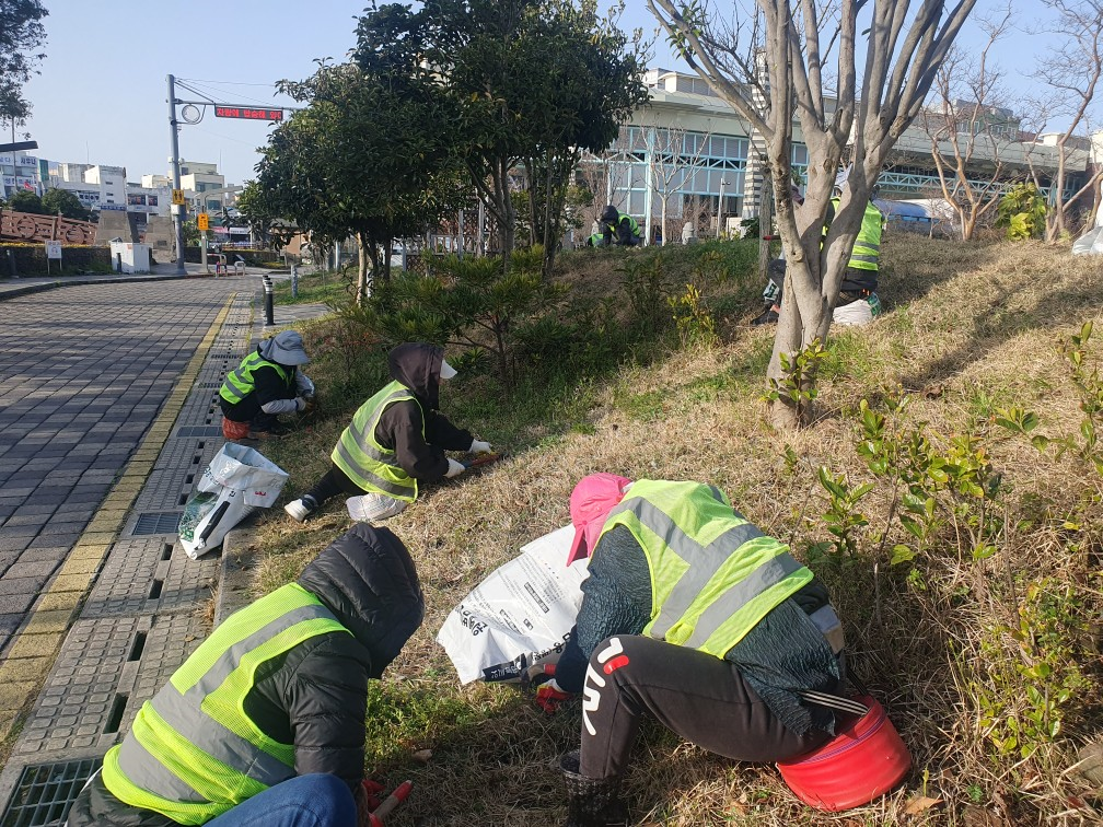 일도1동 북수구 광장 일대 잡초제거 작업 실시 첨부이미지