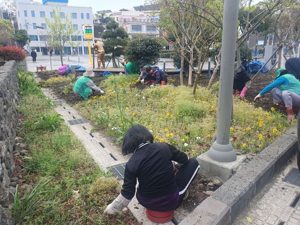 일도1동 북수구광장 일대 환경정비 실시 첨부이미지