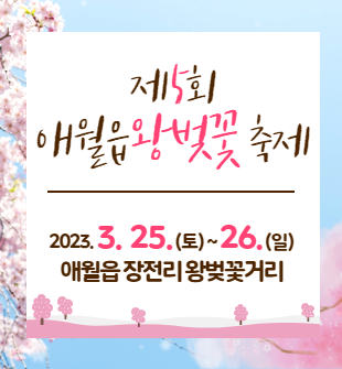 제5회 애월읍 왕벚꽃 축제