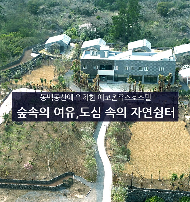 동백동산에 위치한 에코촌유스호스텔 숲속의 여유,도심 속의 자연쉼터