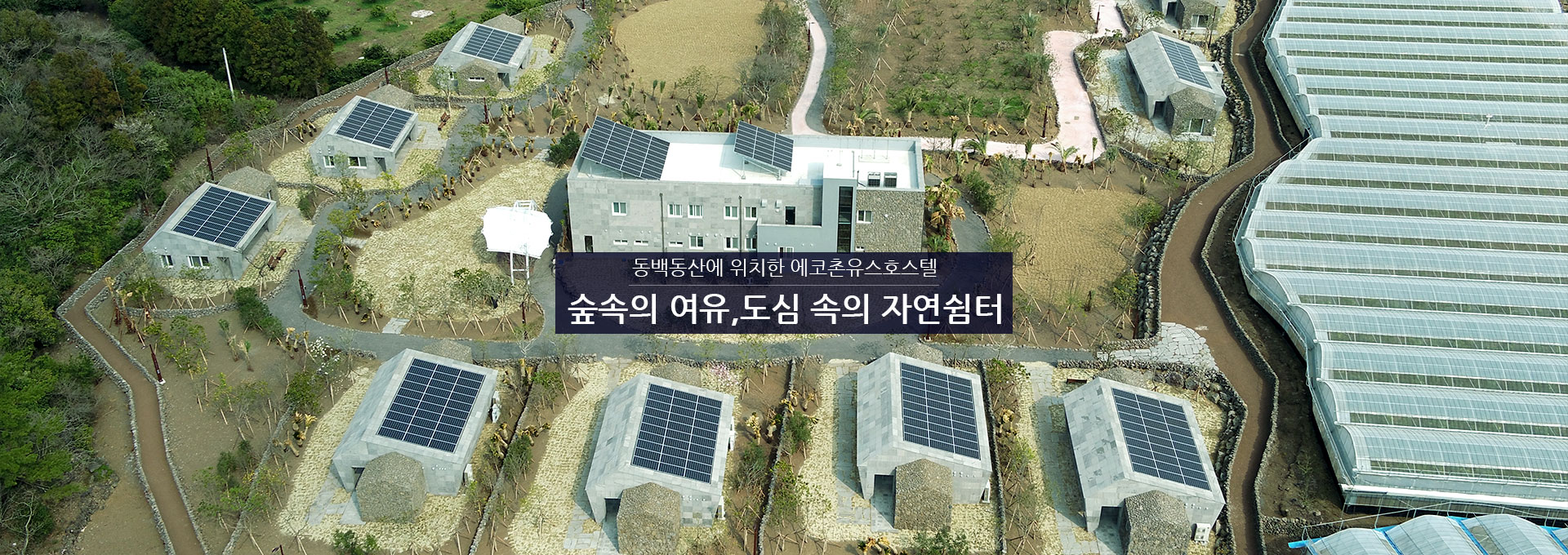 동백동산에 위치한 에코촌유스호스텔 숲속의 여유,도심 속의 자연쉼터