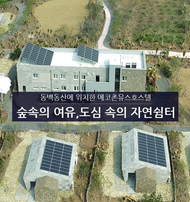 동백동산에 위치한 에코촌유스호스텔 숲속의 여유,도심 속의 자연쉼터