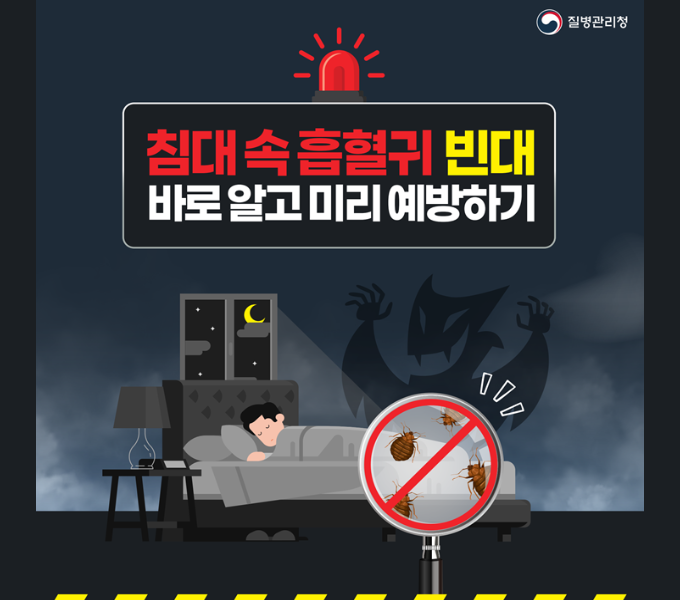 침대 속 흡혈귀 빈대 바로 알고 미리 예방하기