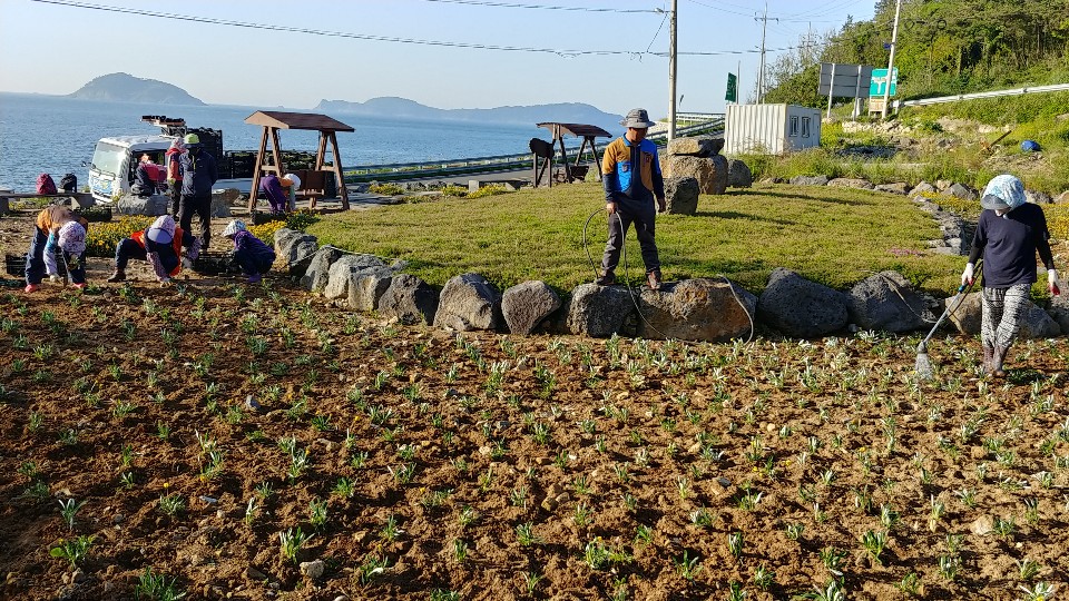관내 주요 도로변 꽃길 조성 첨부이미지