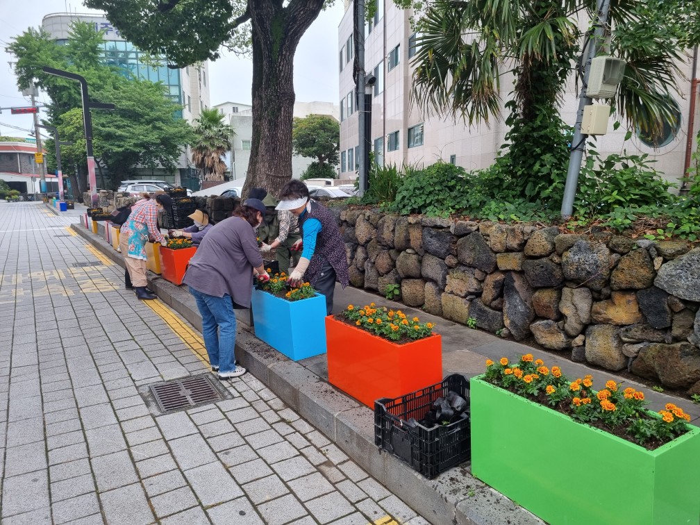 삼도2동민속보존회, 여름꽃 식재 실시 첨부이미지