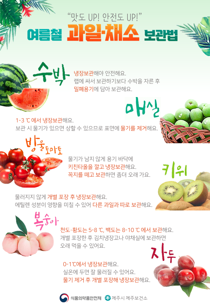 영양플러스 8월 교육_여름철 과일채소 보관법.png