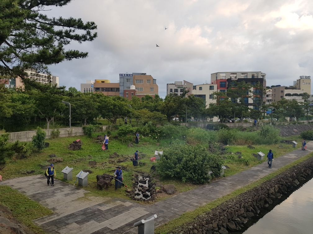 건입동바르게살기운동위원회, 산지천 주변 환경정비 활동 전개 첨부이미지