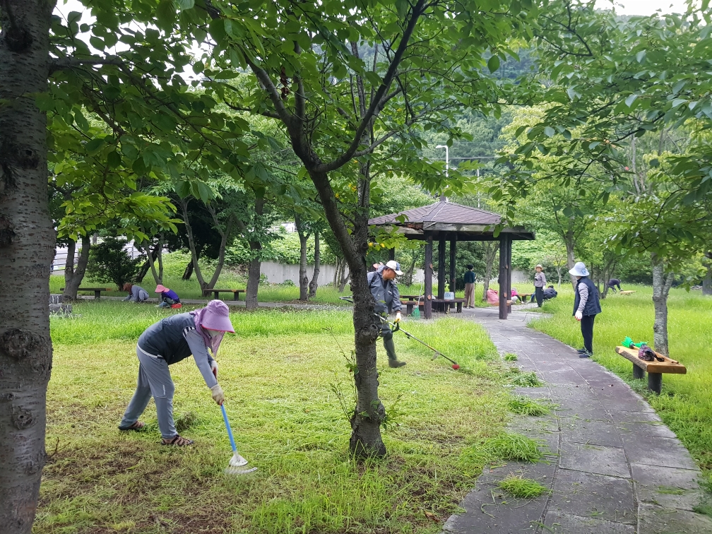 건입동민속보존회, 칠머리공원 등 환경정비 활동 실시 첨부이미지