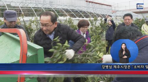 감귤원 간벌.jpg