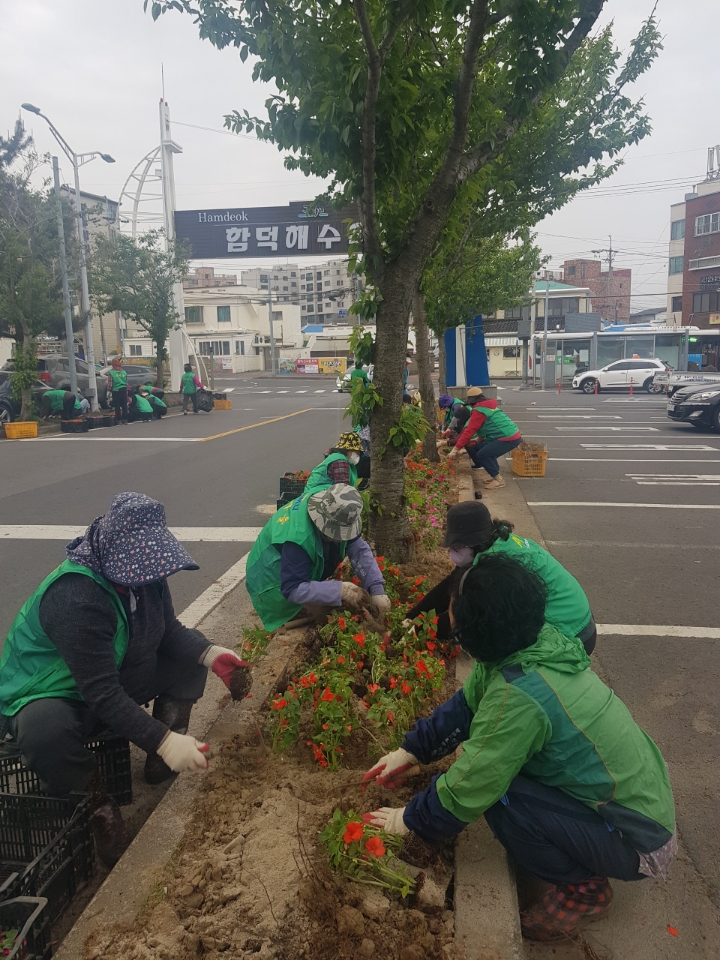 함덕리 새마을부녀회, 해수욕장 꽃길 조성 추진 첨부이미지