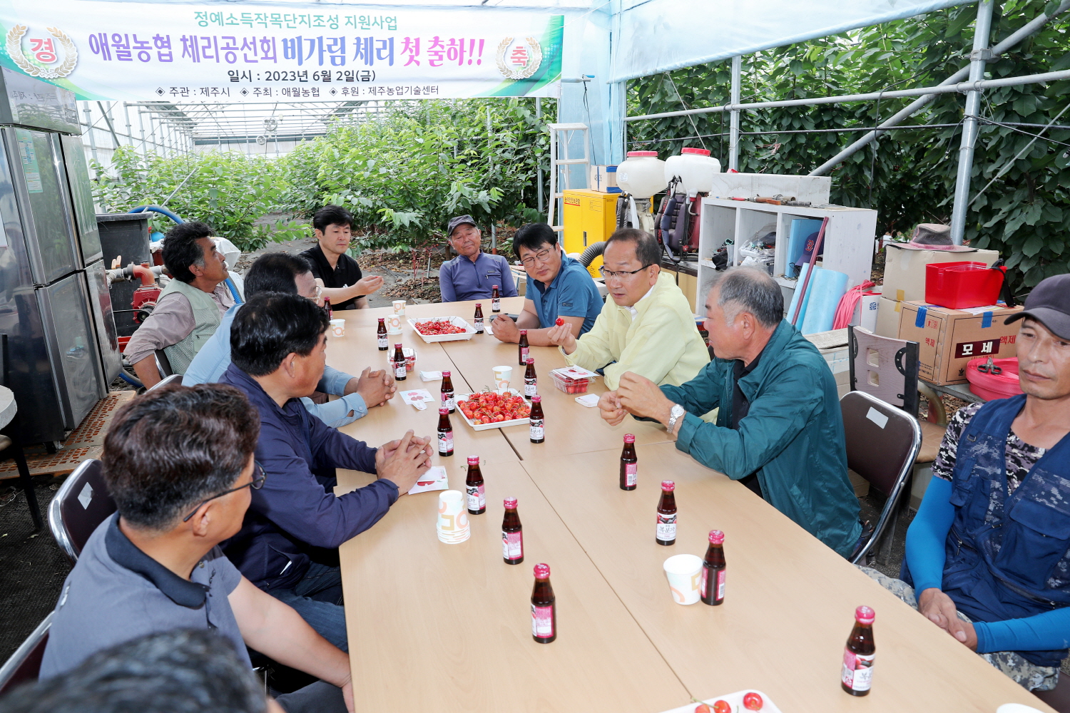 _강병삼 제주시장, 체리 정예소득작목단지 방문 (7).JPG