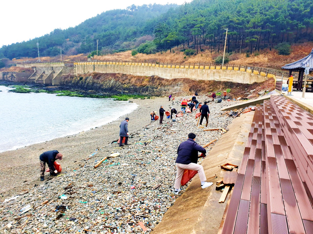 2024년 2월 주민자치위원, 추자면 협업 후포해안변 정화활동 전개 첨부이미지