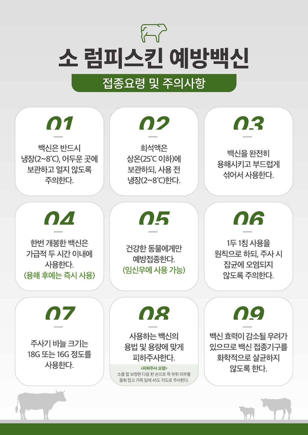 2025년 소 럼피스킨 예방접종 안내 첨부이미지