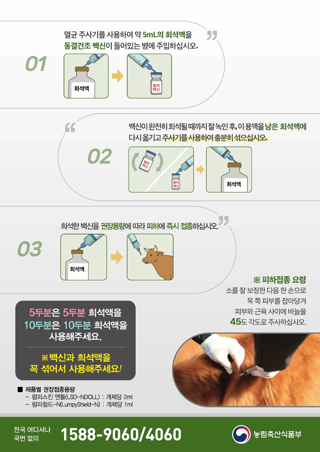 2025년 소 럼피스킨 예방접종 안내 첨부이미지