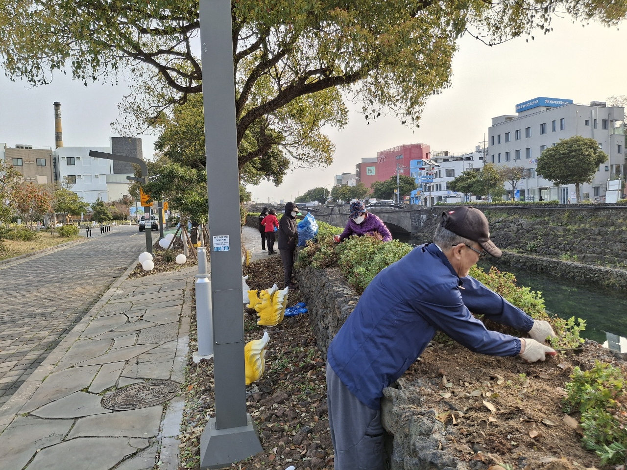일도1동, 산지천 일대 화단 정비작업 실시 첨부이미지