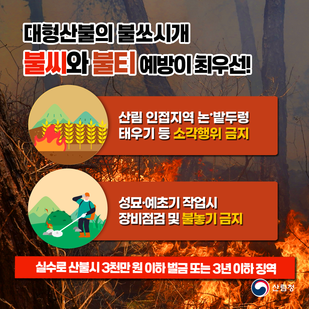 산불재난 국가위기경보 심각 단계, 제주시 전역 산불예방 행위제한 행정명령 공고 알림 첨부이미지