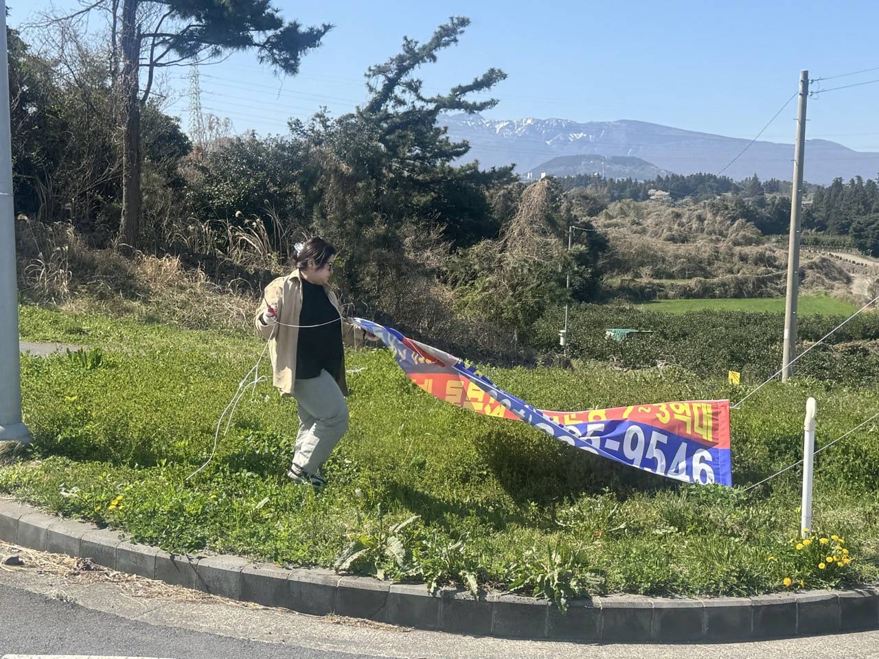 아라동, 봄철 맞아 불법광고물 정비 실시 첨부이미지