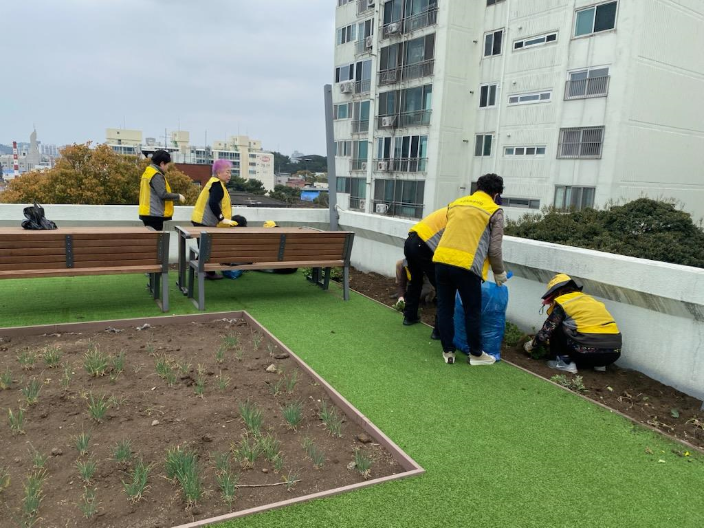 이도1동경로당, 복지회관옥상 텃밭 조성 실시 첨부이미지