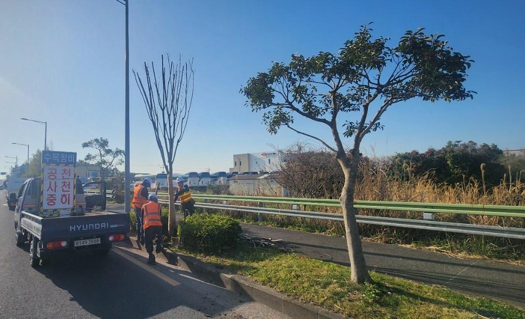 (공원녹지과) 제주시, 연북로 7.2km 도시바람길숲 조성-1.jpg