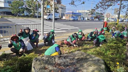 외도동, 새마을부녀회와 함께 봄꽃 식재로 아름다운 거리 조성