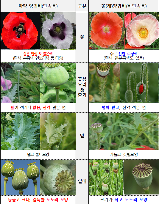 4.29. 서부보건소 사진1.png