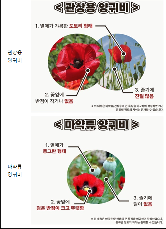 4.29. 서부보건소 사진2.png