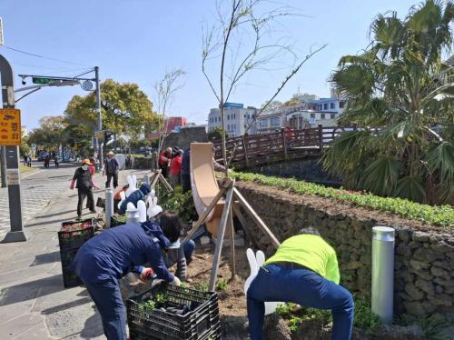 (일도1동)일도1동, 차없는 거리 행사 대비 계절화 식재 작업 실시.jpg