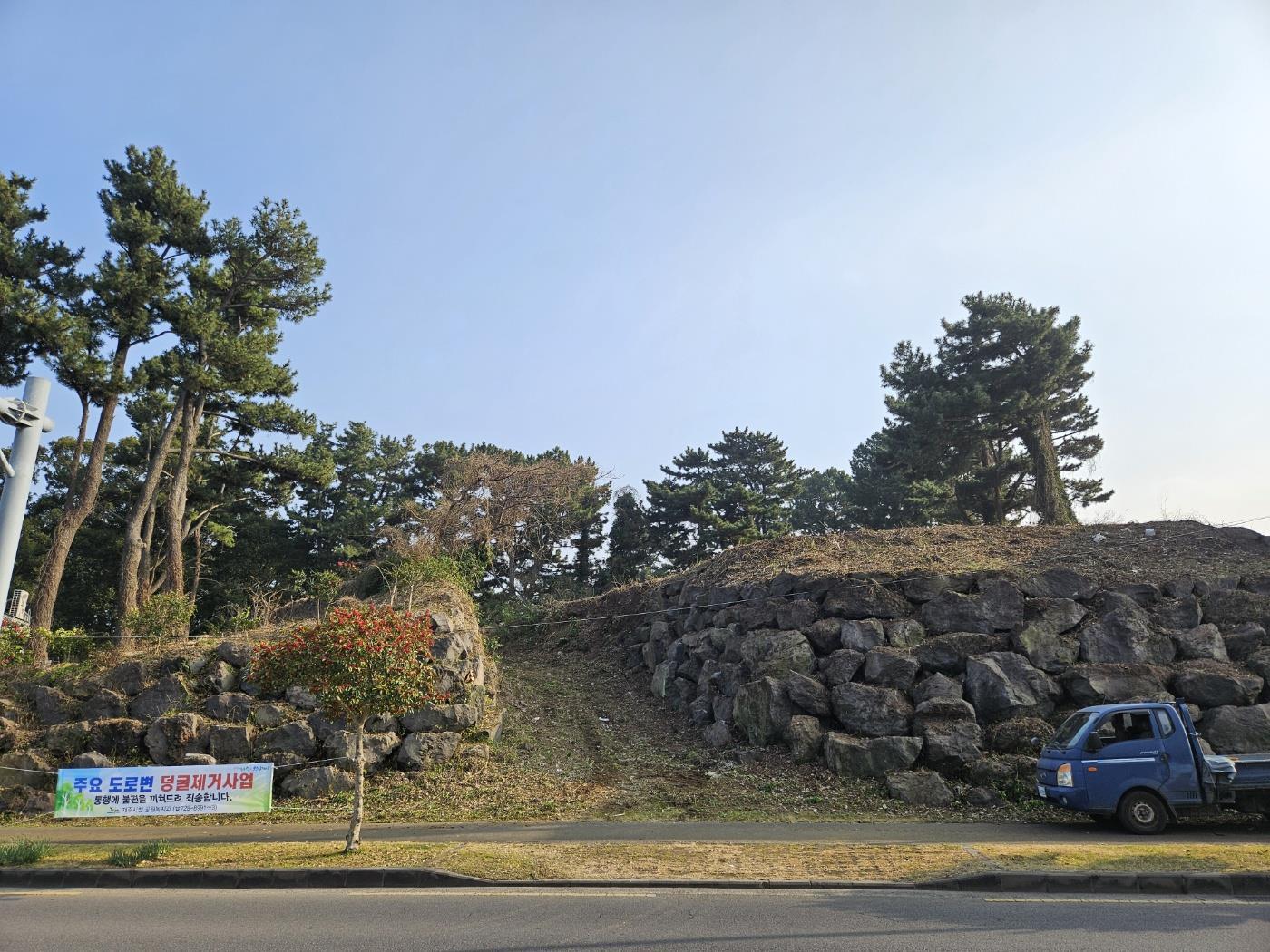 (공원녹지과) 제주시, 산림 경관 저해 덩굴류 집중 제거-2.jpg