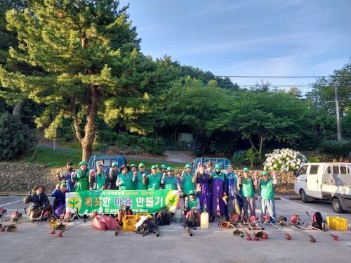 새마을지도자삼양동협의회, 원당봉 산책로 환경정비